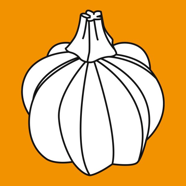 Pumpkin pattern