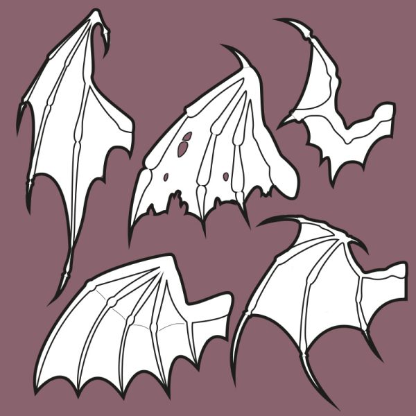 Dragon wings template collection – 5 wing shapes