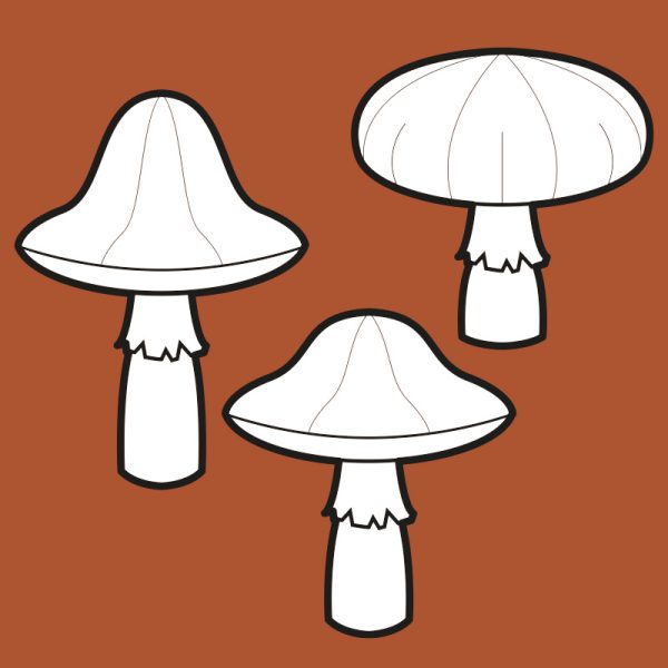 Mushrooms pattern collection