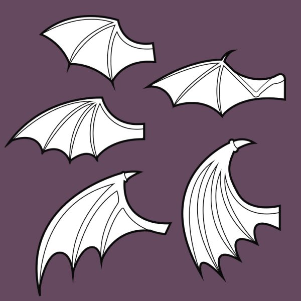 Bat wings template collection – 5 wing shapes