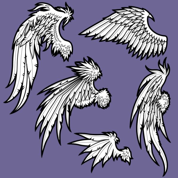 Epic feathered wings template collection – 5 wing shapes