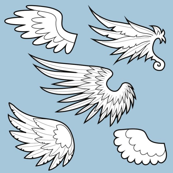Feathered wings template collection – 5 wing shapes