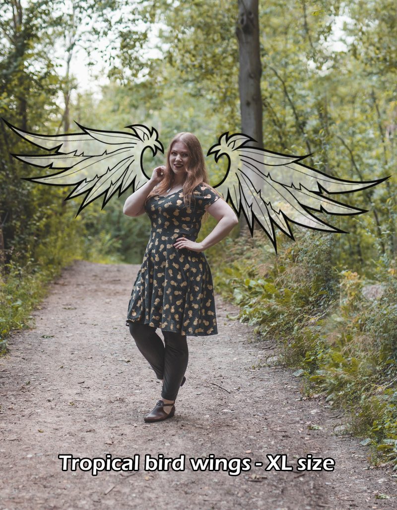 Feathered wings template collection - 5 wing shapes - Image 3